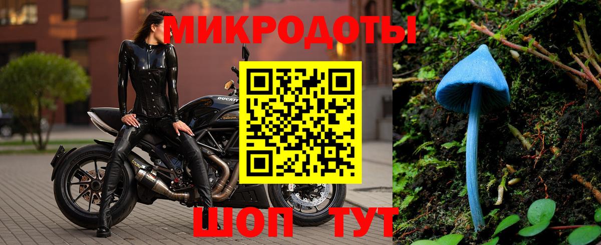 Галлюциногенные грибы MAGIC MUSHROOMS  Галлюциногенные грибы мухоморы  Аша  где можно купить наркотик  Вход с VPN 
